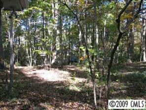 2816 High Ridge Road Charlotte, NC 28270 - Photo 2 of 8 a view of a yard with trees