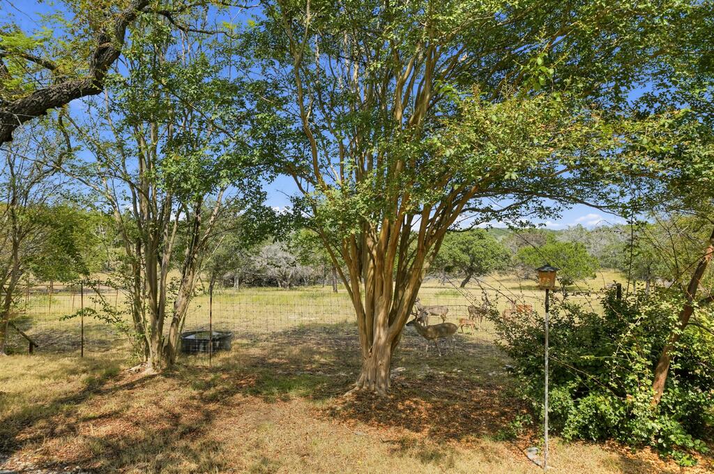201 Sierra Road Kerrville, TX 78028 - Photo 49 of 69 Gallery Image 49