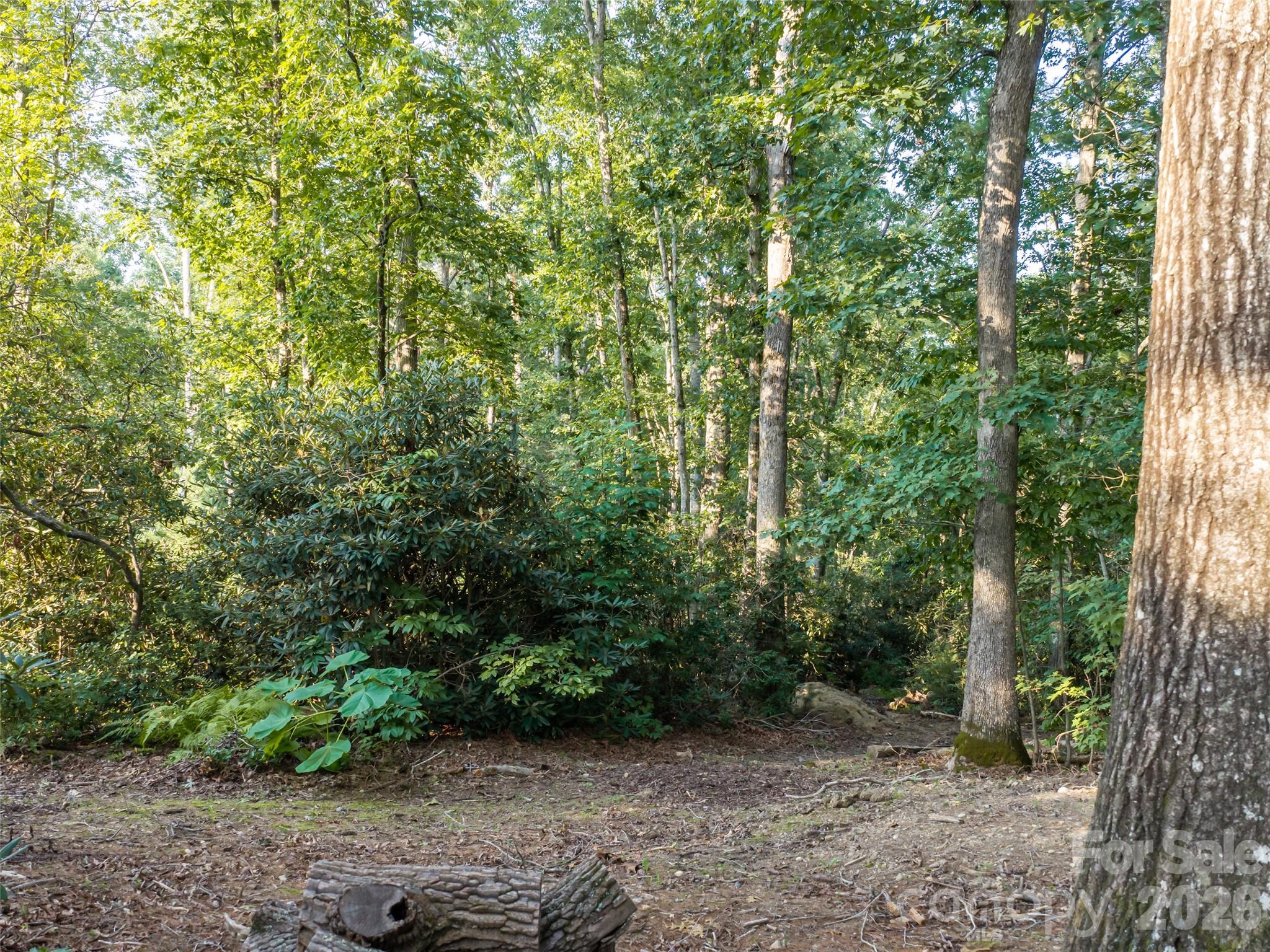 45 Jake Ridge Trail Fletcher, NC 28732 - Photo 8 of 18 Gallery Image 8