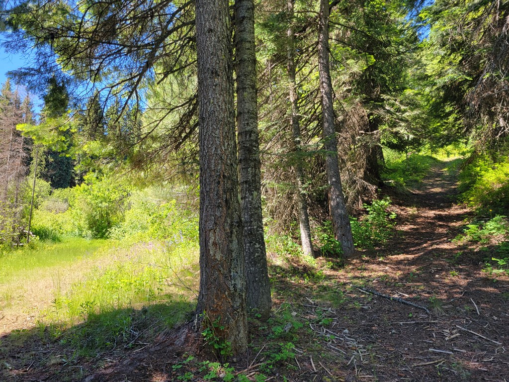 671 West Mountain Road Cascade, ID 83611 - Photo 9 of 11 Several trails to public lands