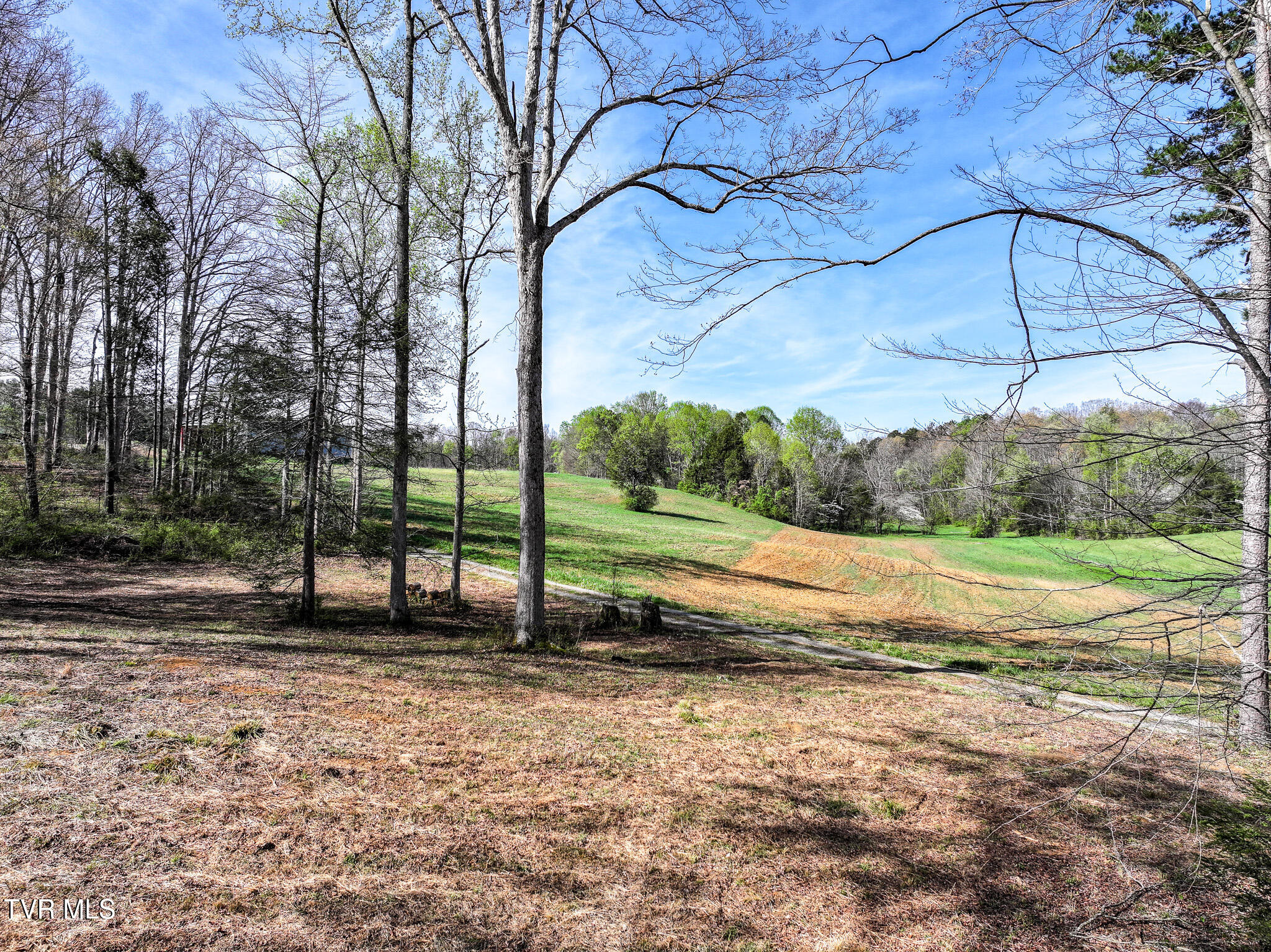 190 Treadway Road Chuckey, TN 37641 - Photo 4 of 34 DJI_20260406094112_0394_D