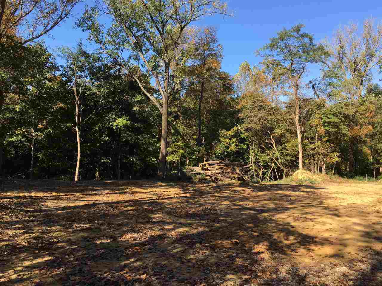 0 South Bethany Church Road Boonville, IN 47601 - Photo 2 of 12 Gallery Image 2