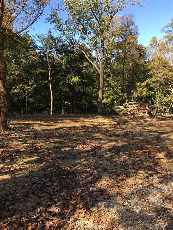 0 South Bethany Church Road Boonville, IN 47601 - Photo 6 of 12 Gallery Image 6