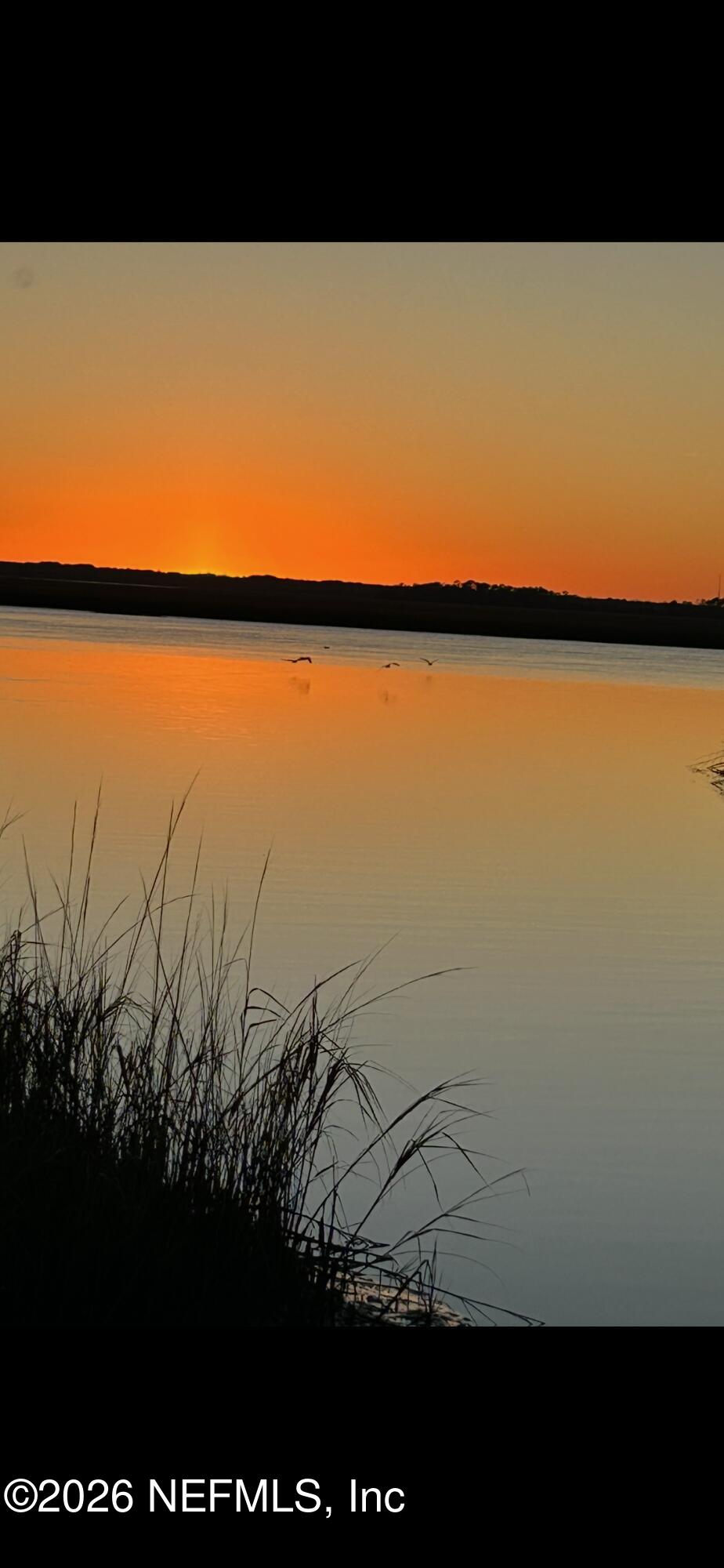 16062 Shark Road West Jacksonville, FL 32226 - Photo 36 of 43 IMG_2816