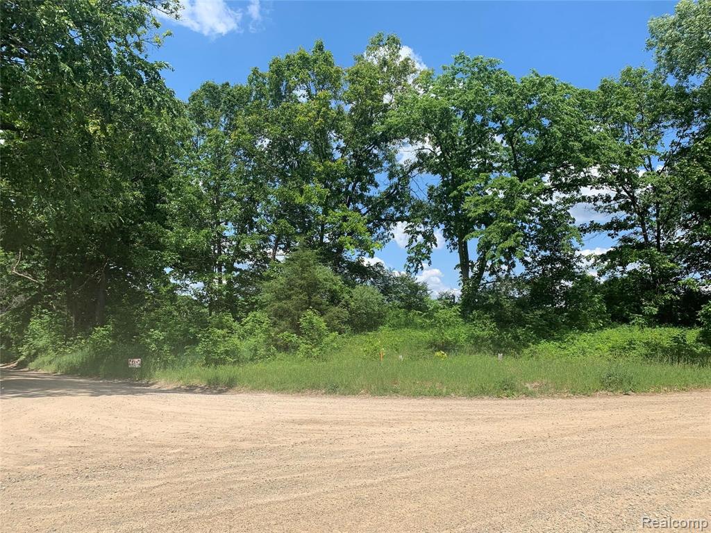 0 Colby Road Dexter, MI 48130 - Photo 2 of 10