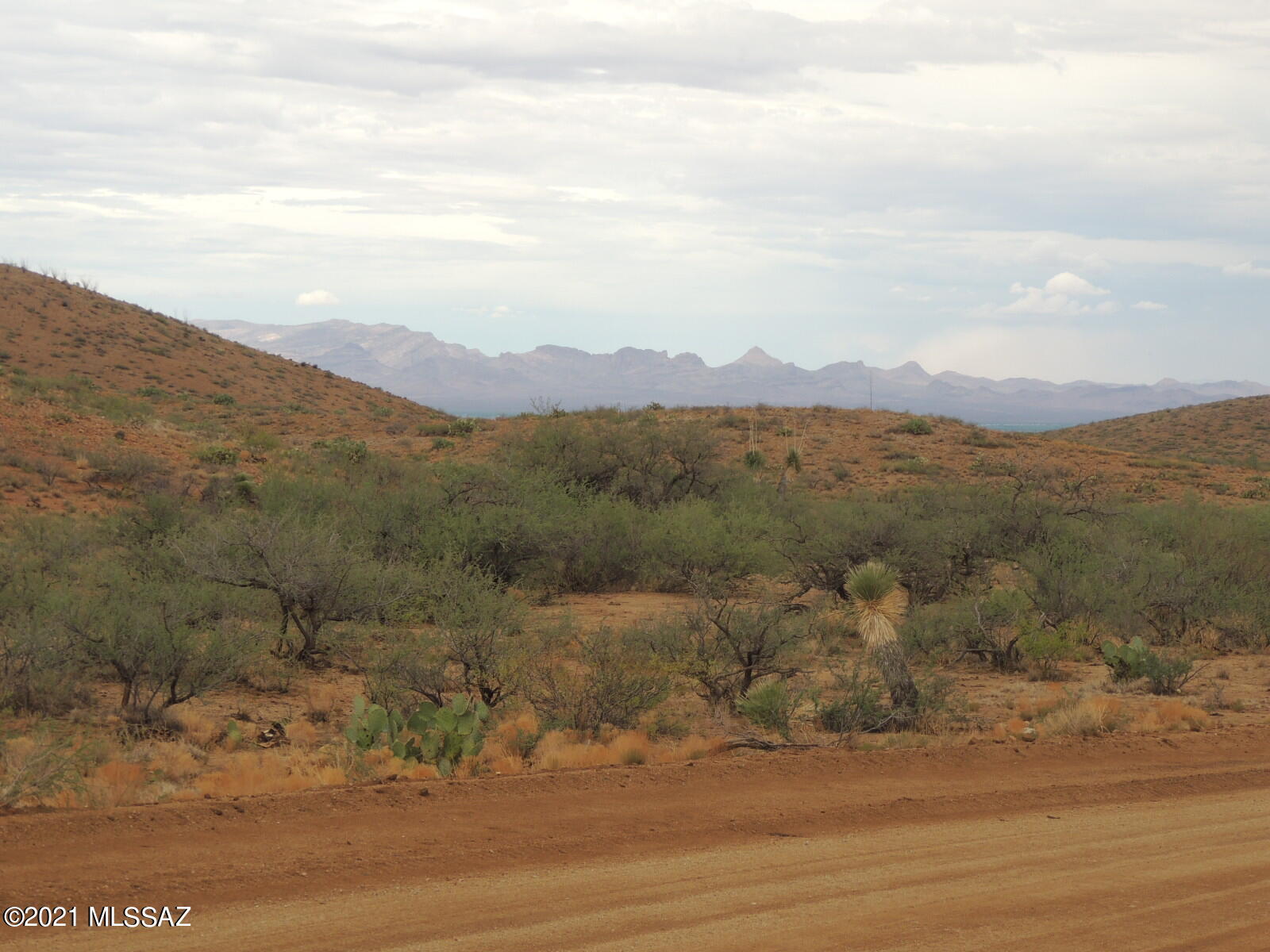 40.82 Acres Mulkins Ranch Road, Unit 11 Bowie, AZ 85605 - Photo 10 of 17