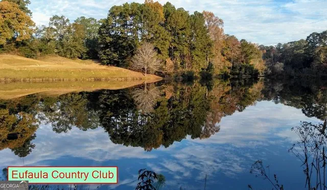 $16,999 | 1 Jenny Lynn Lane, Fort Gaines, GA 39851