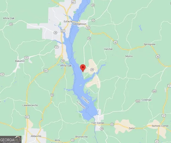 $16,999 | 1 Jenny Lynn Lane, Fort Gaines, GA 39851