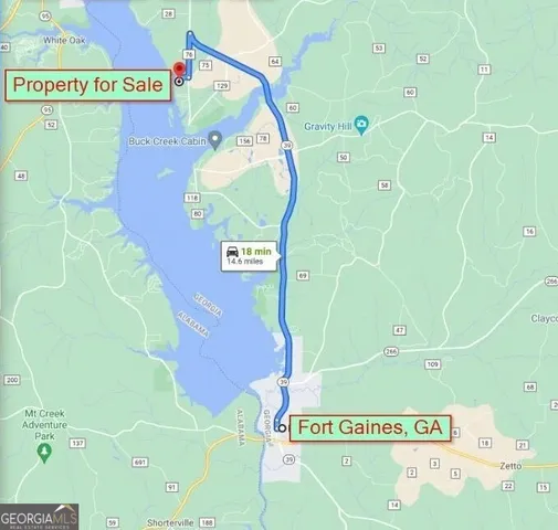 $16,999 | 1 Jenny Lynn Lane, Fort Gaines, GA 39851