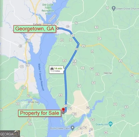 $16,999 | 1 Jenny Lynn Lane, Fort Gaines, GA 39851