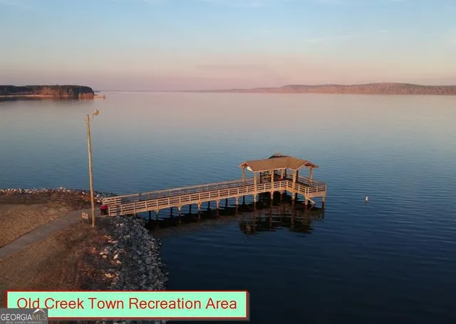 $16,999 | 1 Jenny Lynn Lane, Fort Gaines, GA 39851