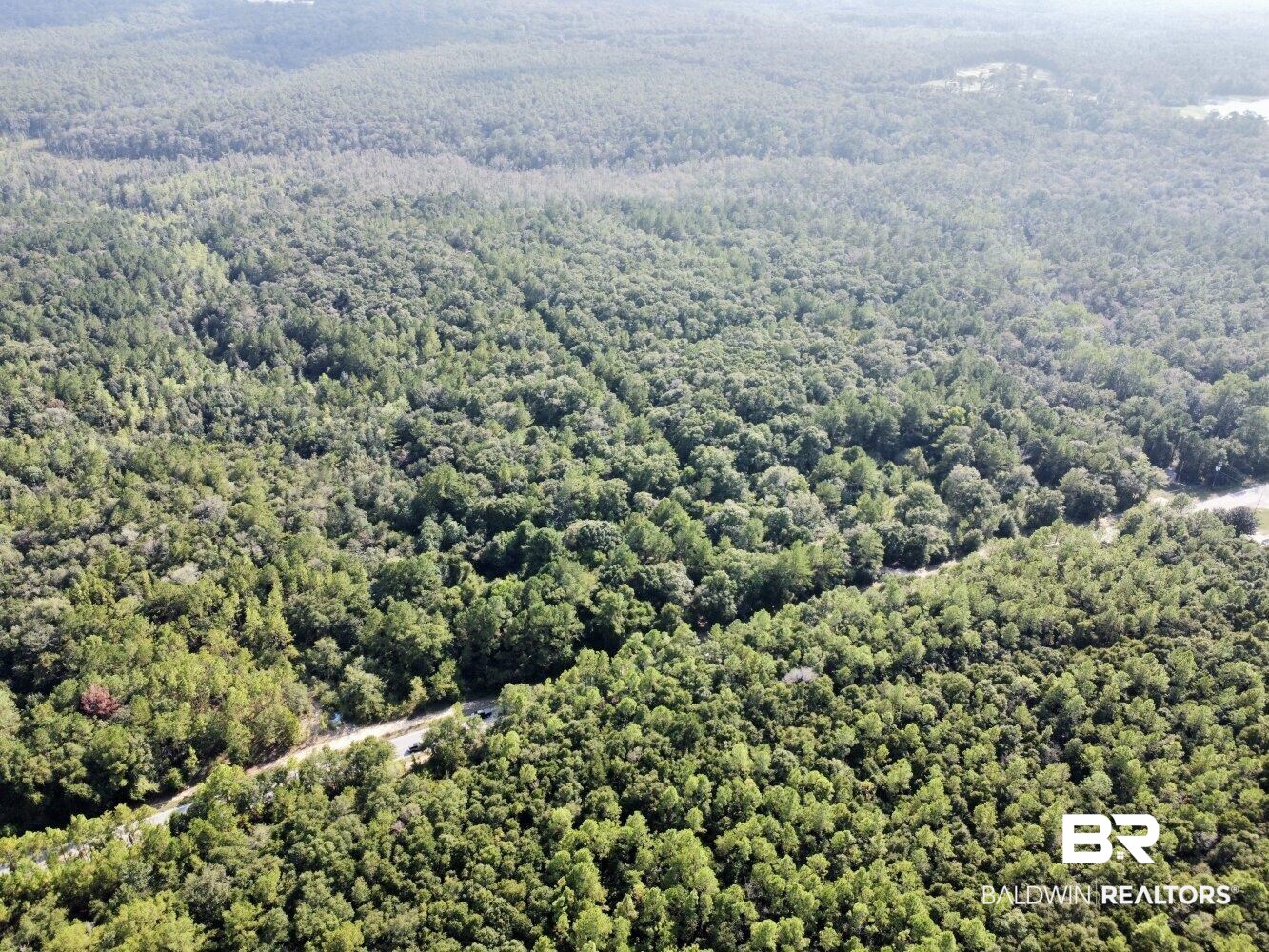 0 Bear Fork Road Mobile, AL 36618 - Photo 11 of 50