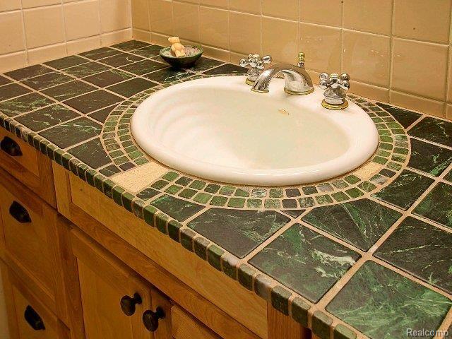 295 Booth Road Troy, MI 48085 - Photo 12 of 25 Updated Bath sink