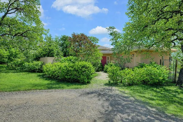 a view of a garden with a house in the background
