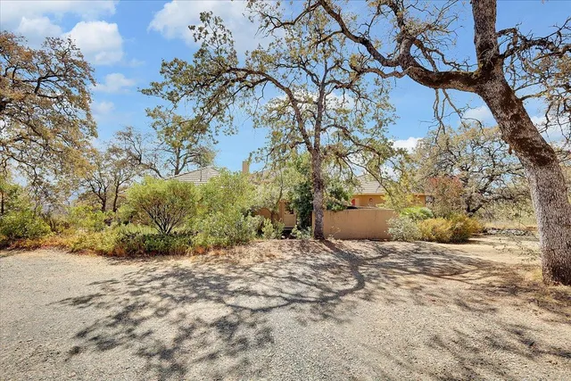 a view of a yard with an tree