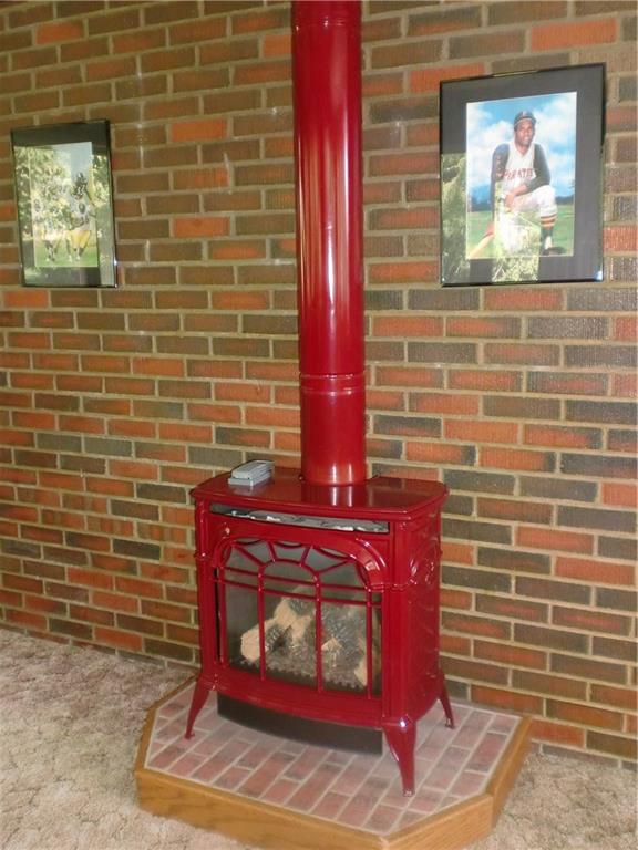 290 Manor Road Wexford, PA 15090 - Photo 15 of 25 Cozy up in front of this cool gas heater in in the main level Family Room.