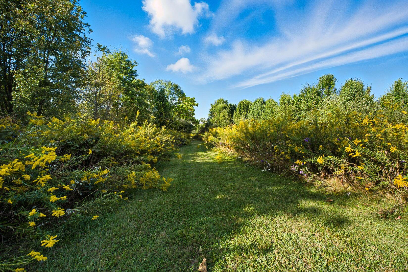 11951 Center Village Road Galena, OH 43021 - Photo 57 of 64 Land