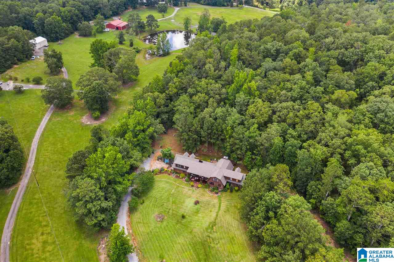2098 Red Valley Road Remlap, AL 35133 - Photo 44 of 47