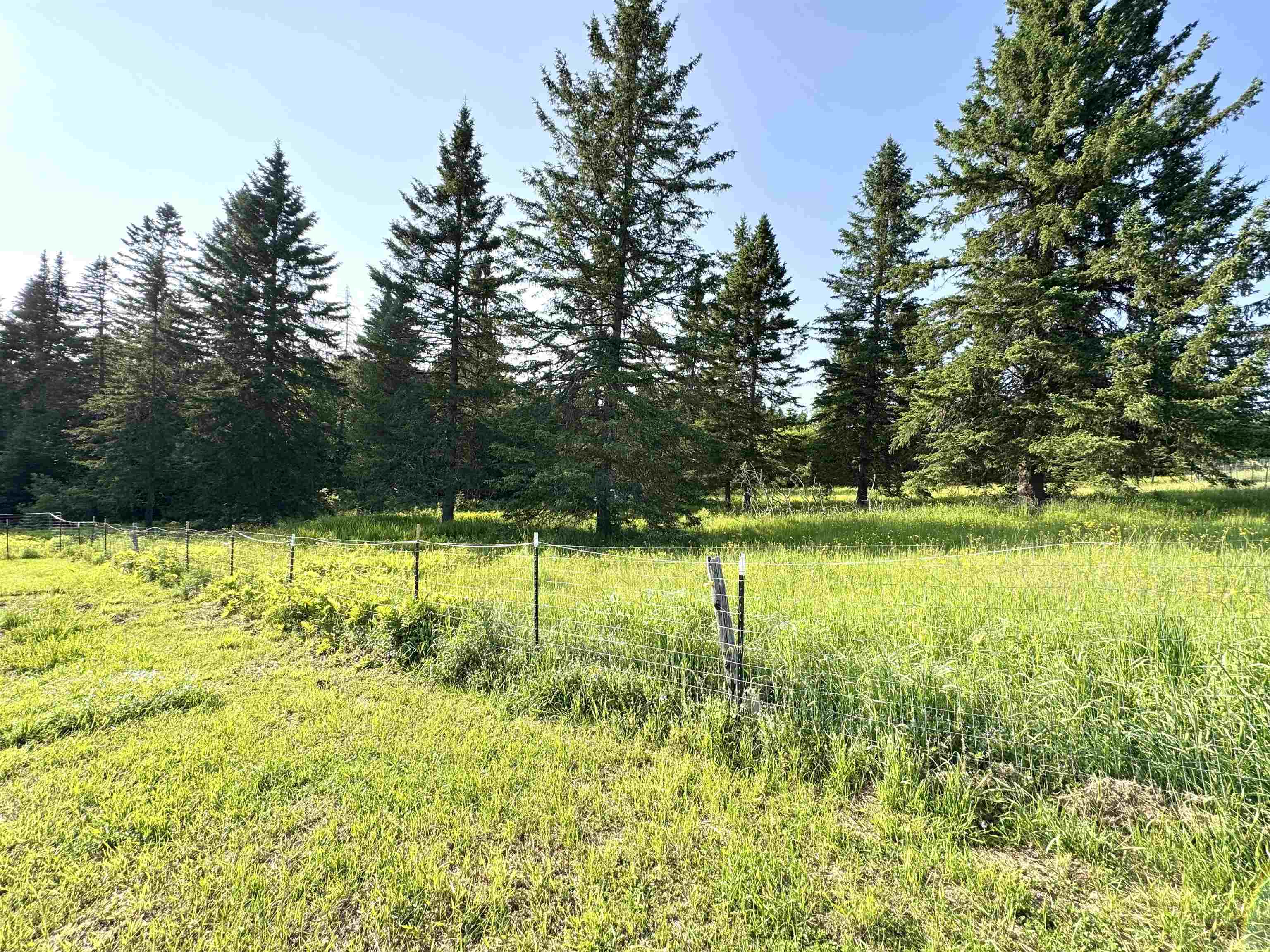 869 Piper Hill Road Stewartstown, NH 03576 - Photo 29 of 50