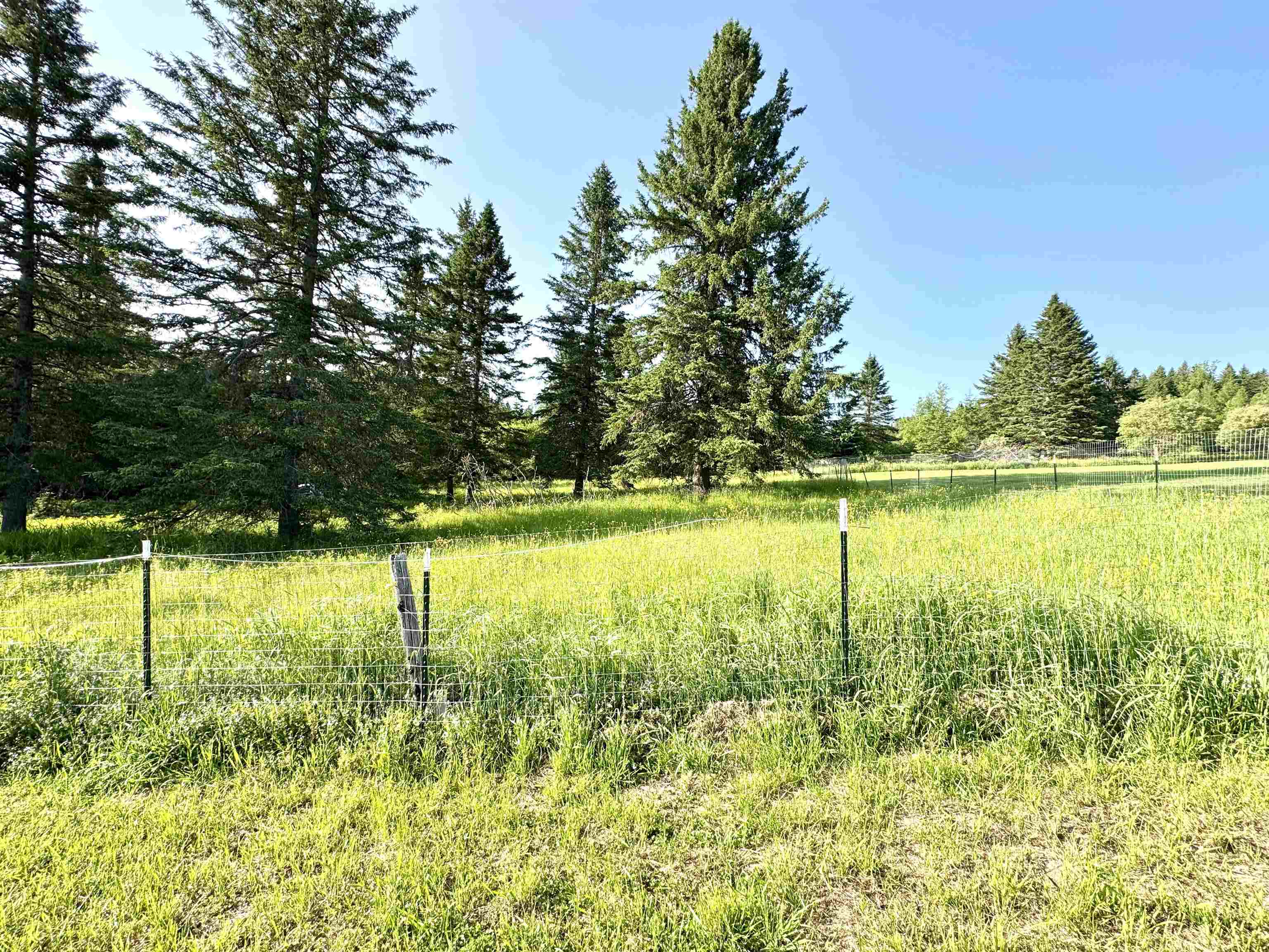 869 Piper Hill Road Stewartstown, NH 03576 - Photo 30 of 50