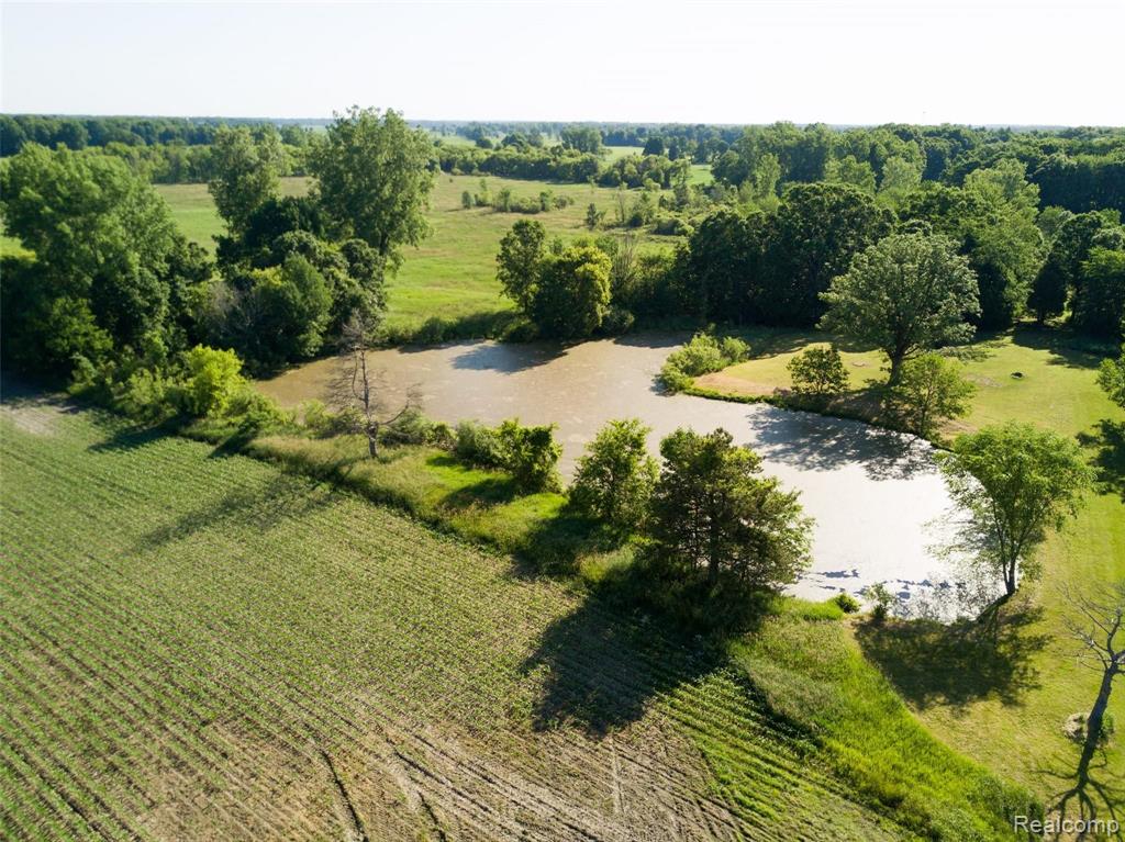 0 North Gregory Road Fowlerville, MI 48836 - Photo 8 of 49