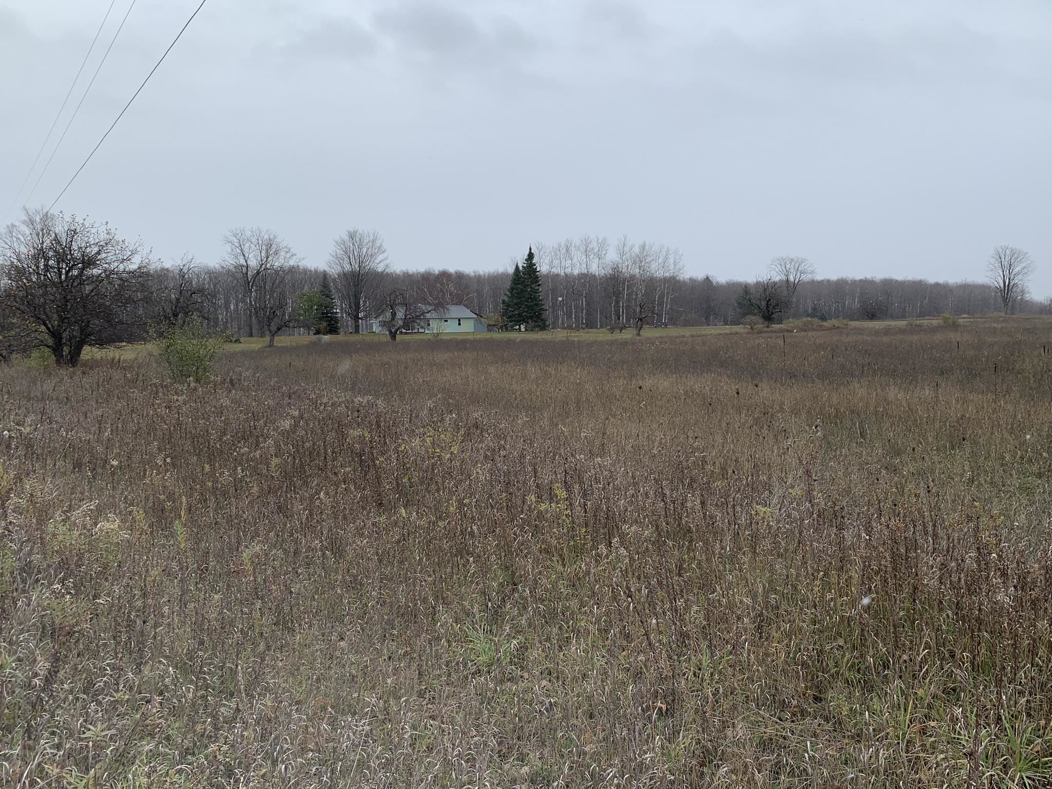 7443 Brady Road, Unit LOT: 3 Onaway, MI 49765 - Photo 7 of 17 Gallery Image 7
