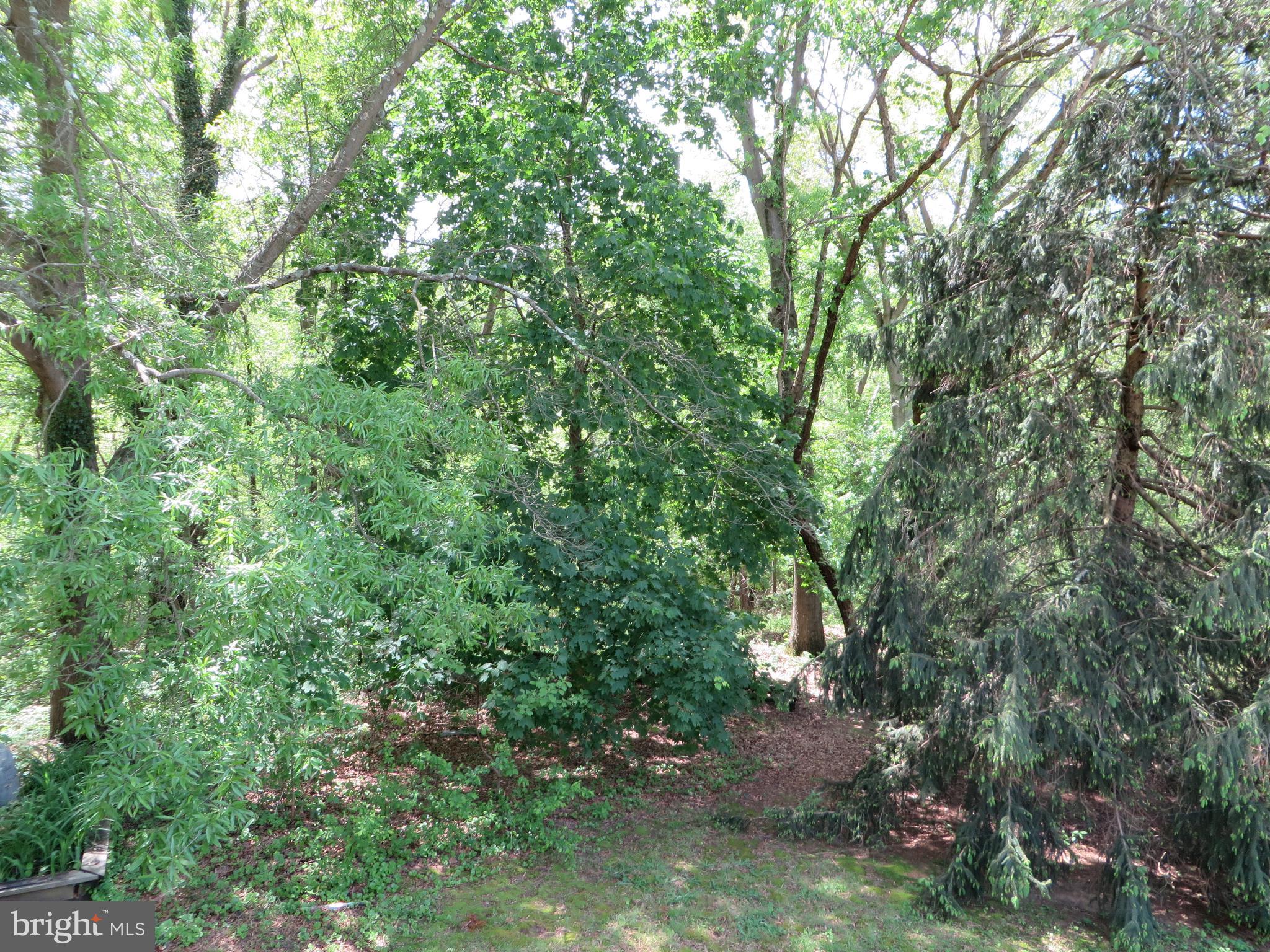 1331 Ava Road Severn, MD 21144 - Photo 45 of 65 Thick woods behind home