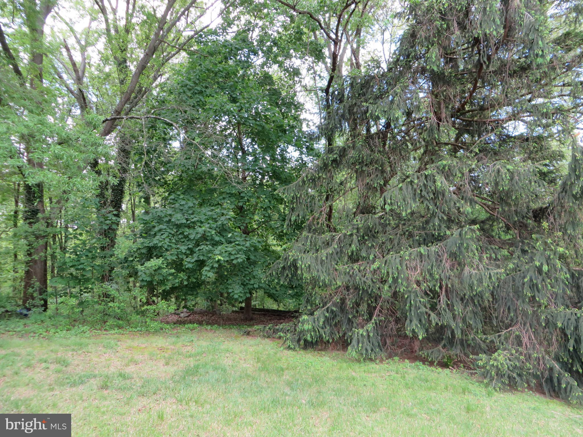 1331 Ava Road Severn, MD 21144 - Photo 49 of 65 Feels very private in the back yard
