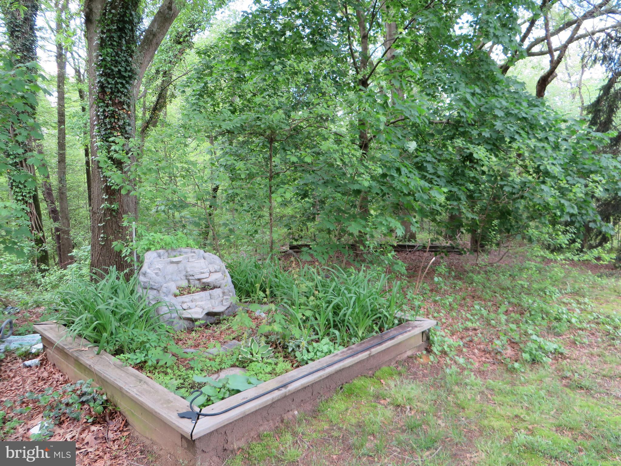 1331 Ava Road Severn, MD 21144 - Photo 53 of 65 Serene and peaceful-- perfect zen...