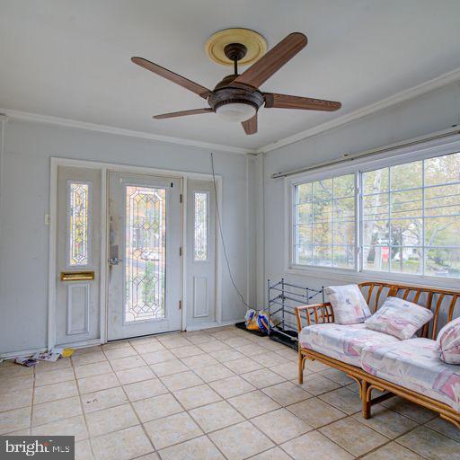 Gallery Image 7