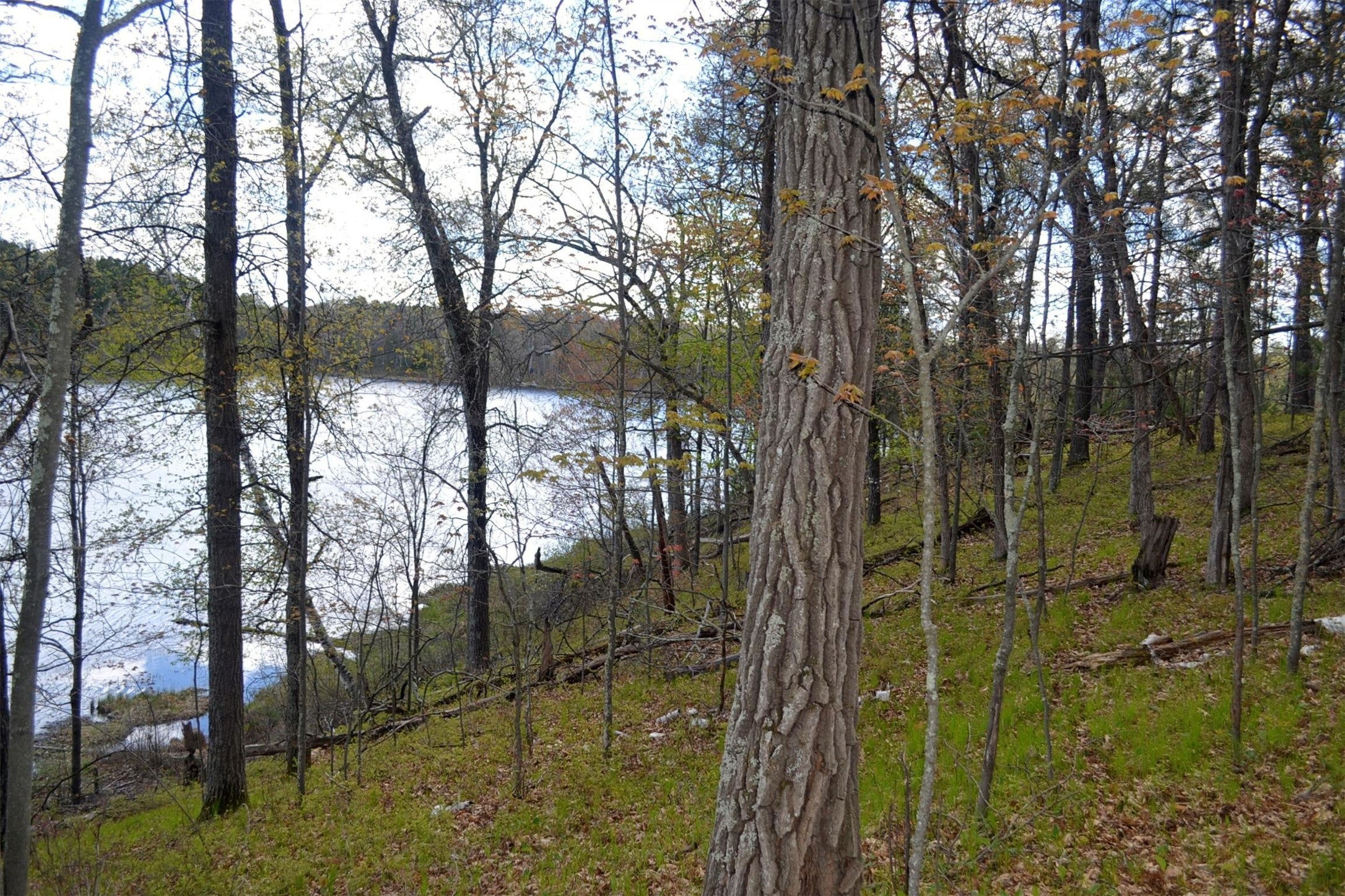1391 Dock Lake Road Spooner, WI 54801 - Photo 9 of 21 Gallery Image 9