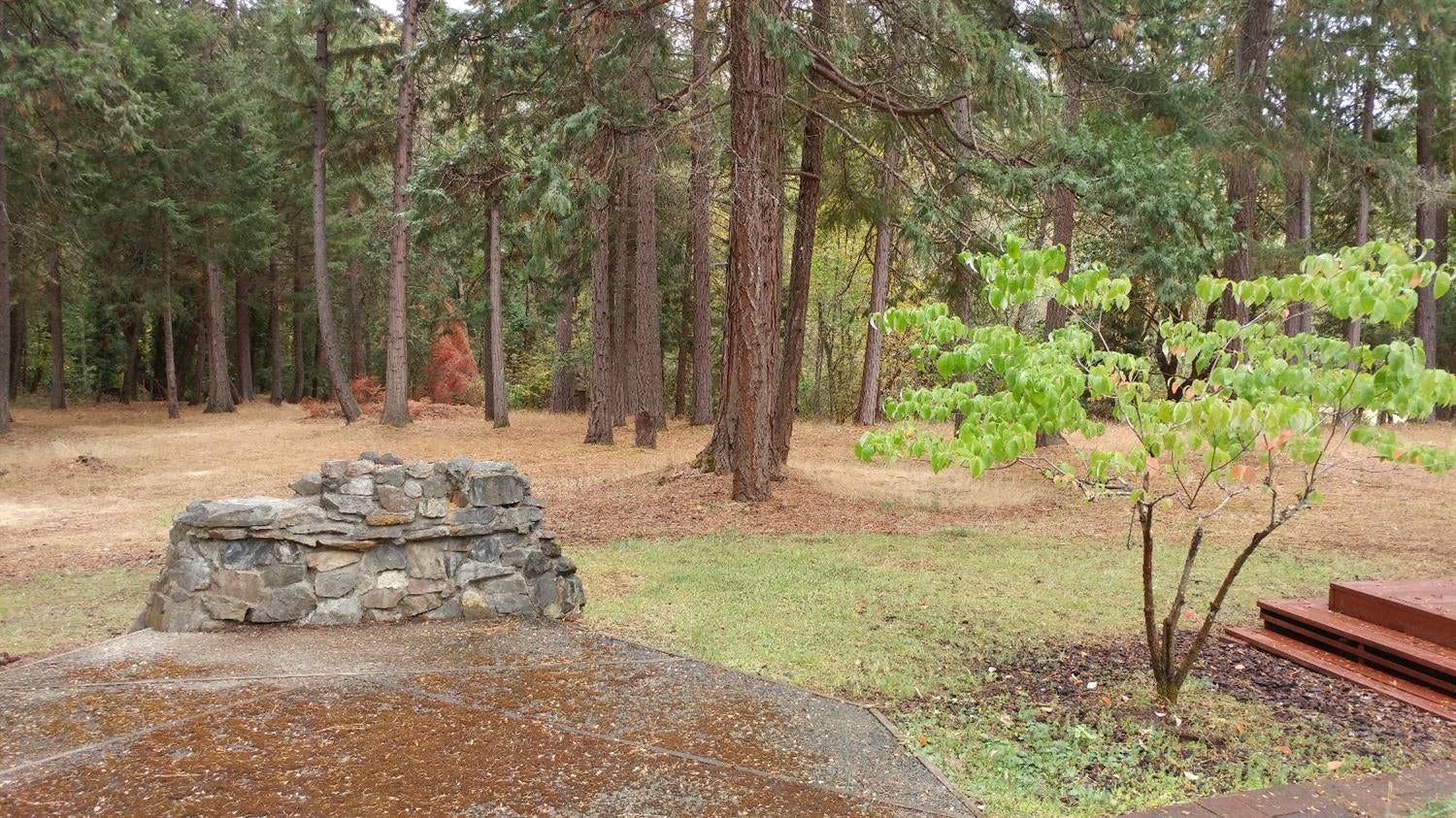 2431 Cedar Flat Road Williams, OR 97544 - Photo 16 of 20 Additional Photo