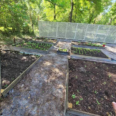 $375,000 | 81 Beechwood Drive, Crawfordville, FL 32327