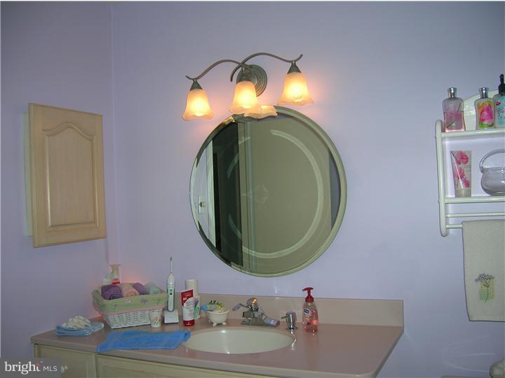 43 Old State Road Springfield, PA 19064 - Photo 18 of 21 Bathroom