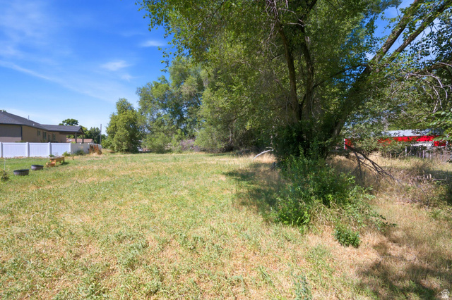 300 East S, Unit 2 Logan, UT 84321 - Photo 31 of 38 Expansive lot featuring mature trees and a substantial open grassy area