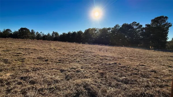a view of a tree in a field of a house
