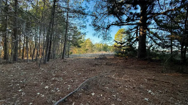 a view of mountain view with lots of trees