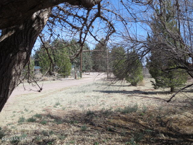 7170 North McBride Road McNeal, AZ 85617 - Photo 4 of 45