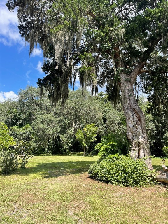 795 Geiger Road Amelia Island, FL 32034 - Photo 16 of 17 a view of a garden with a tree
