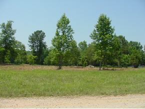0 Watson Bailey Road Harlem, GA 30814 - Photo 1 of 1 Main View