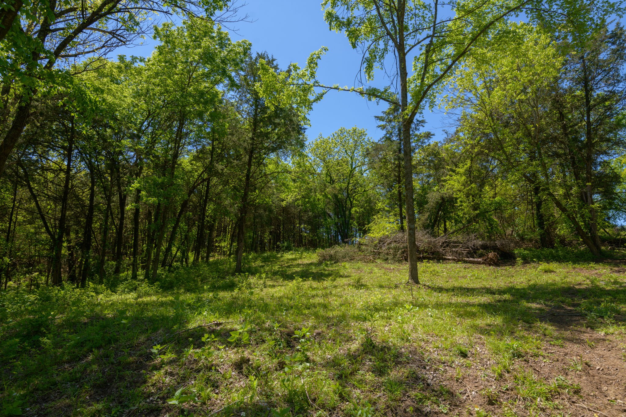 16 Halltown Road Hartsville, TN 37074 - Photo 13 of 47 Gallery Image 13