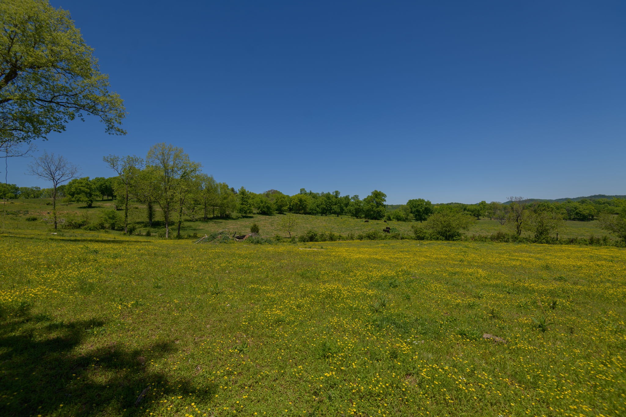16 Halltown Road Hartsville, TN 37074 - Photo 38 of 47 Gallery Image 38