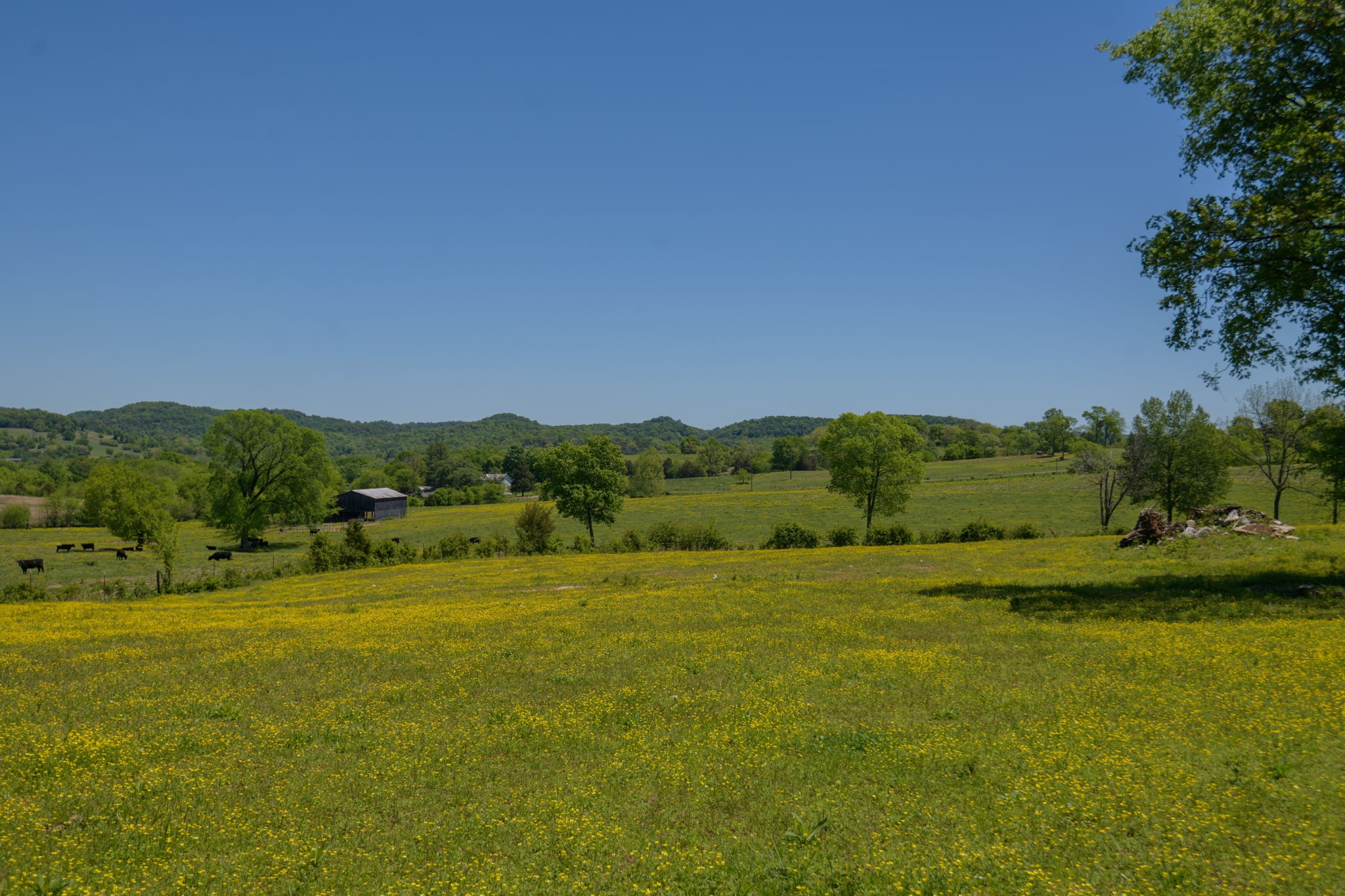 16 Halltown Road Hartsville, TN 37074 - Photo 39 of 47 Gallery Image 39