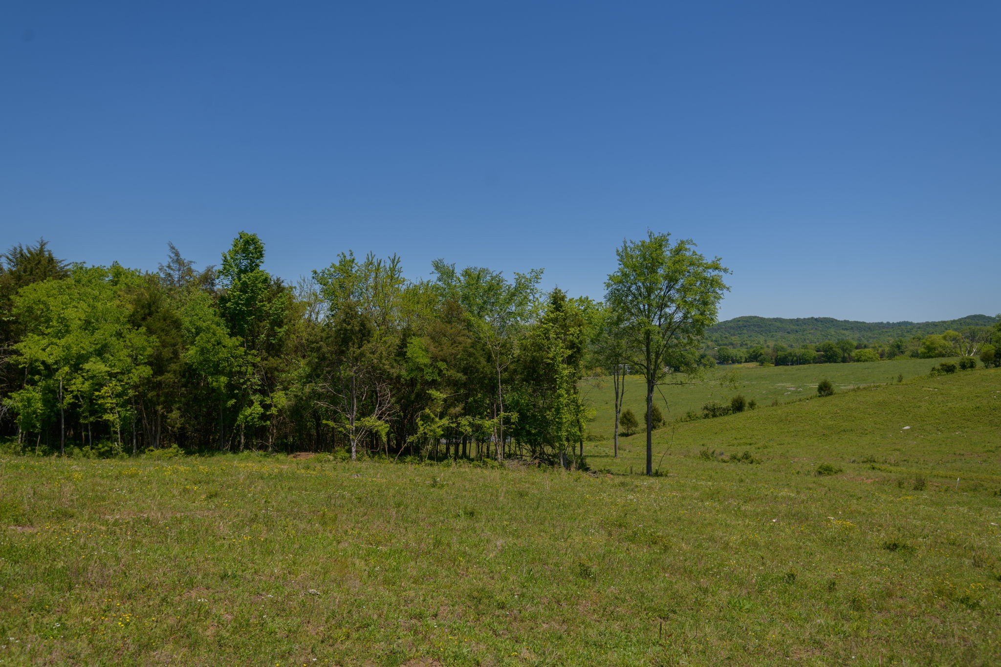 16 Halltown Road Hartsville, TN 37074 - Photo 41 of 47 Gallery Image 41