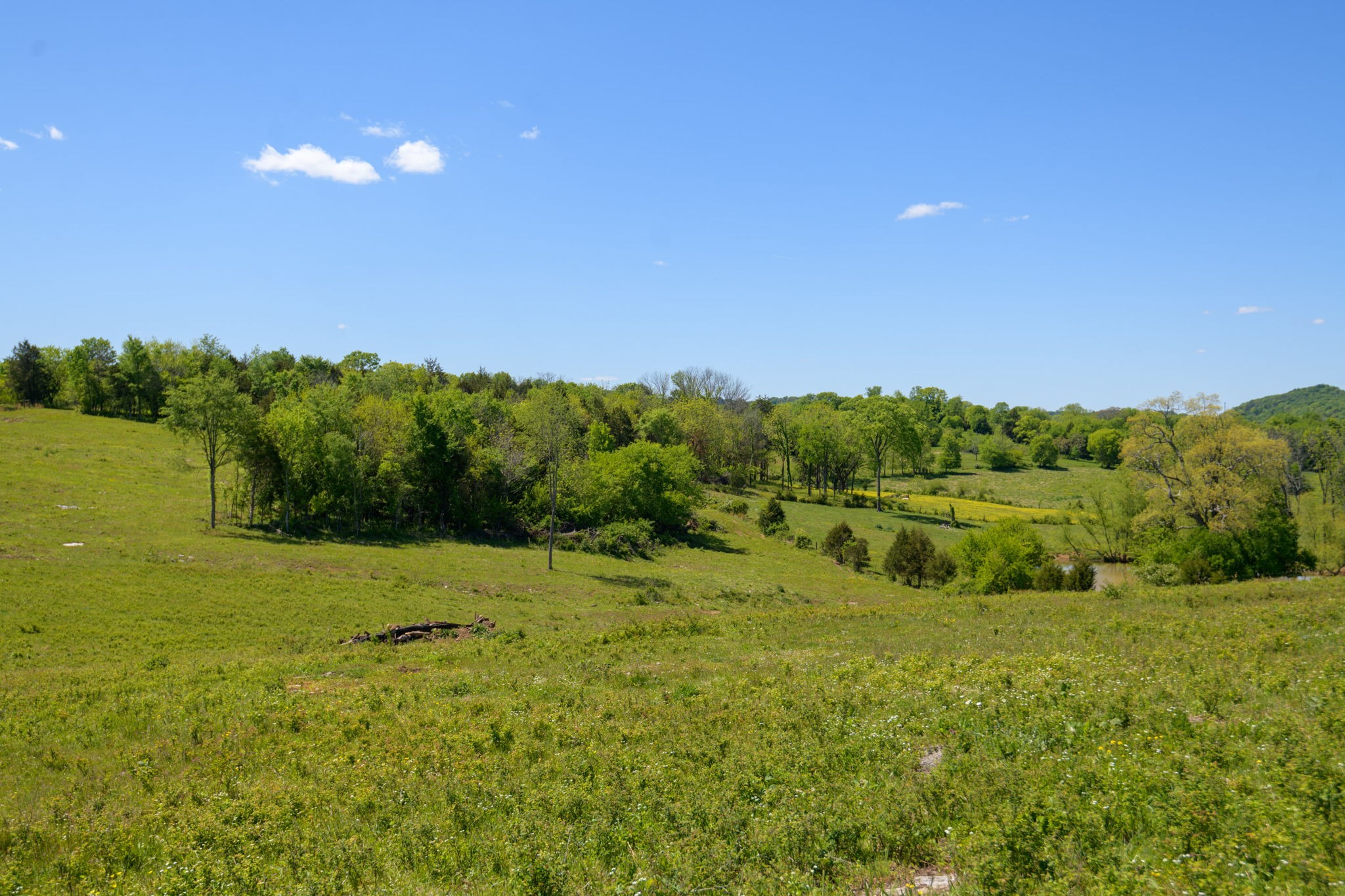 16 Halltown Road Hartsville, TN 37074 - Photo 43 of 47 Gallery Image 43