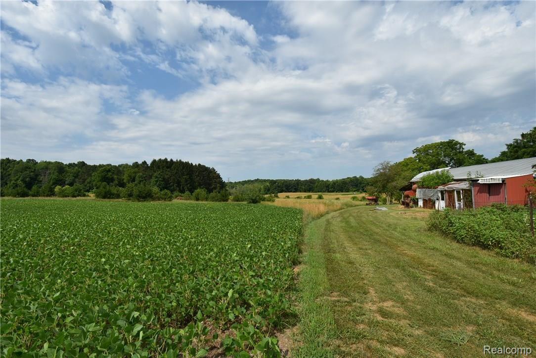 7196 Washburn Road Goodrich, MI 48438 - Photo 41 of 89 DSC_5861.JPG