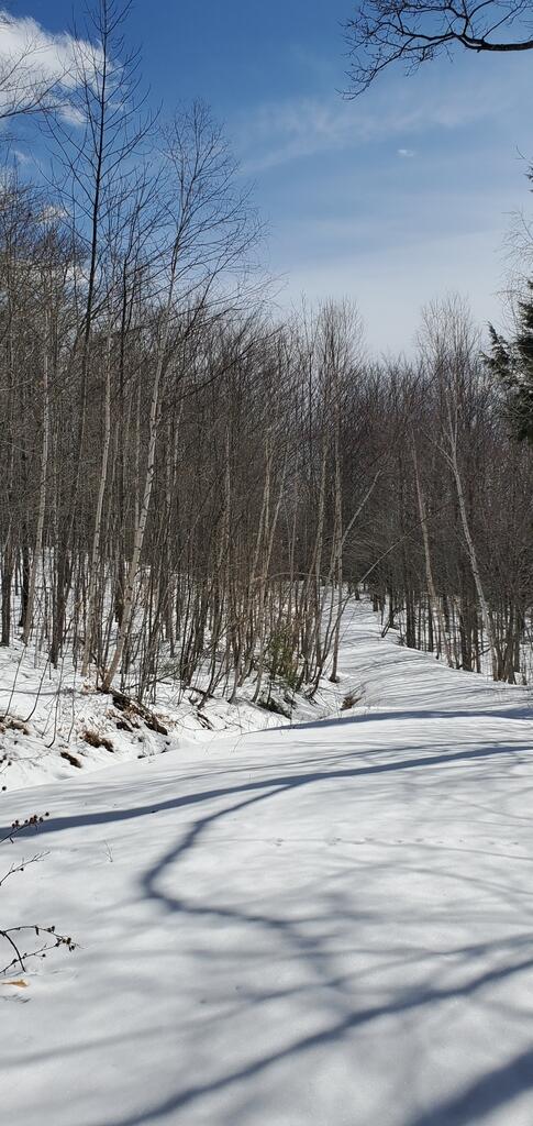 Tbd Kennison Road Temple, ME 04984 - Photo 7 of 10 20220315_140745