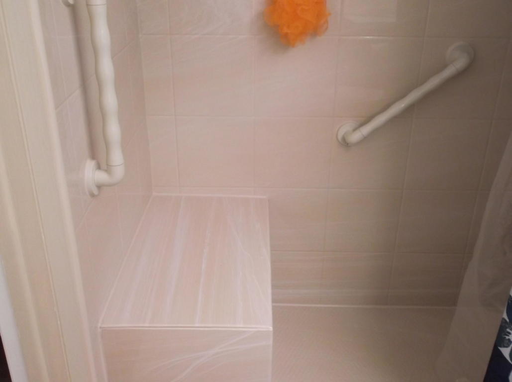 330 Pine Ridge Circle, Unit C1 Greenacres, FL 33463 - Photo 6 of 12 330 Handicap shower