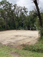 Smallman Street Webster, FL 33597 - Photo 2 of 2 a view of yard with trees
