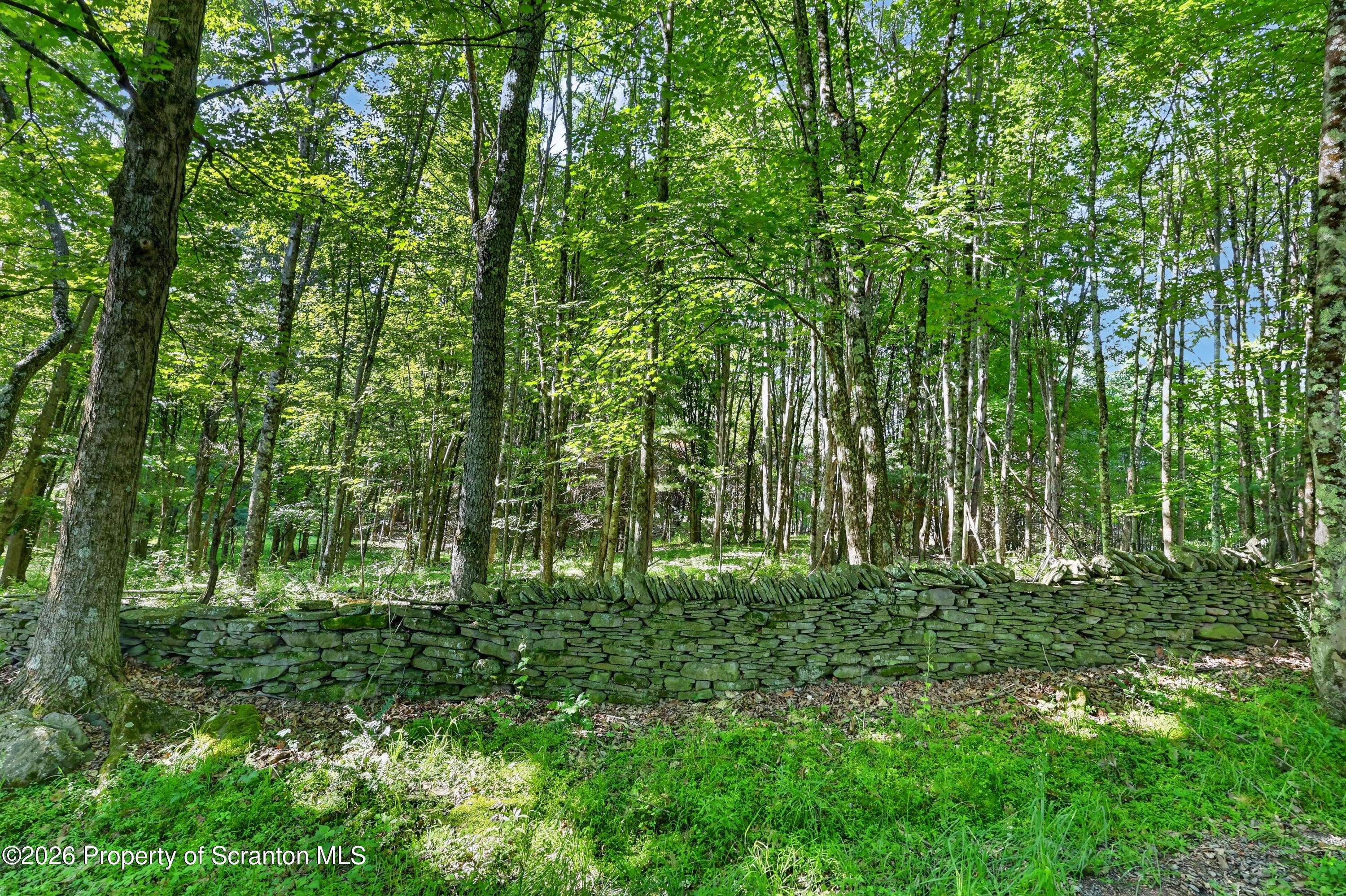 Limoli Road Wyalusing, PA 18853 - Photo 8 of 23 photo__8370